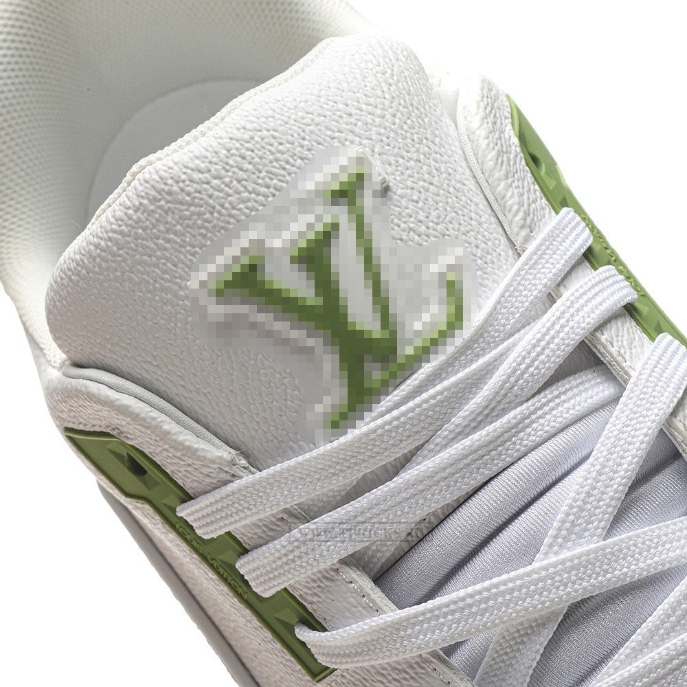 TBkicks L0*1S V*1TT0N by Tyler, the Creator LV Trainer Green Damier