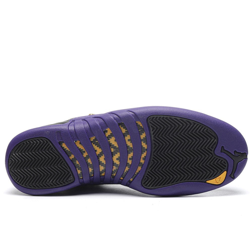 TBkicks Air Jordan 12 Retro Field Purple