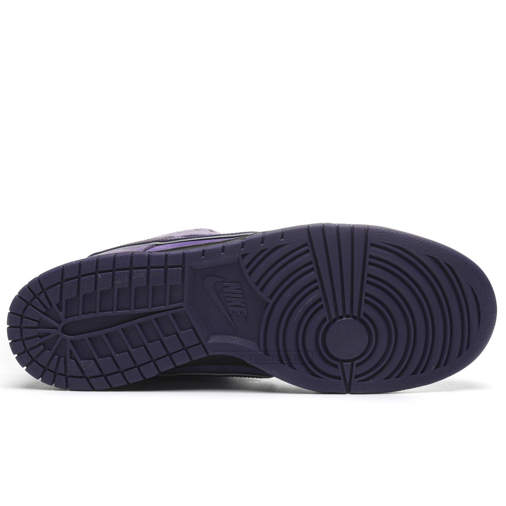 TBkicks Nike SB Dunk Low Concepts Purple Lobster