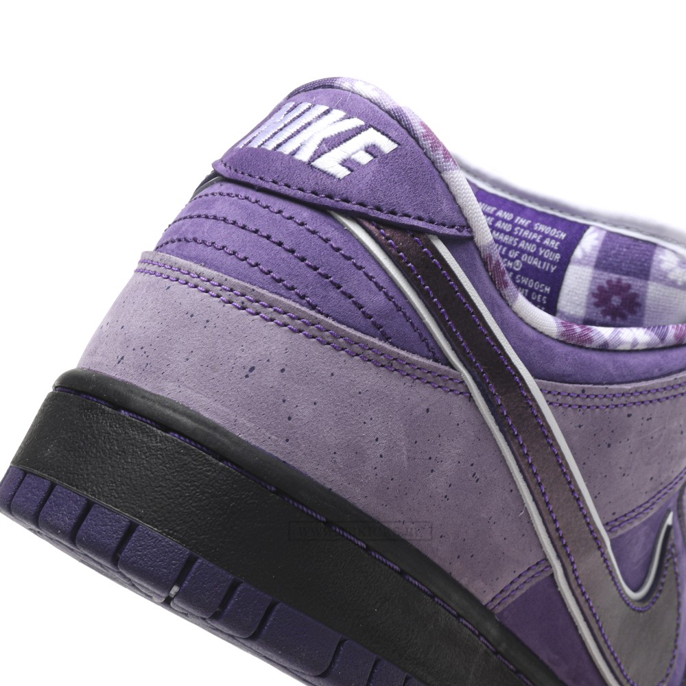 TBkicks Nike SB Dunk Low Concepts Purple Lobster