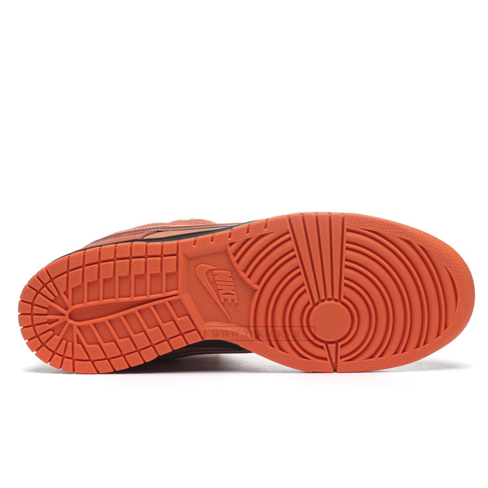 TBkicks Nike SB Dunk Low Concepts Orange Lobster
