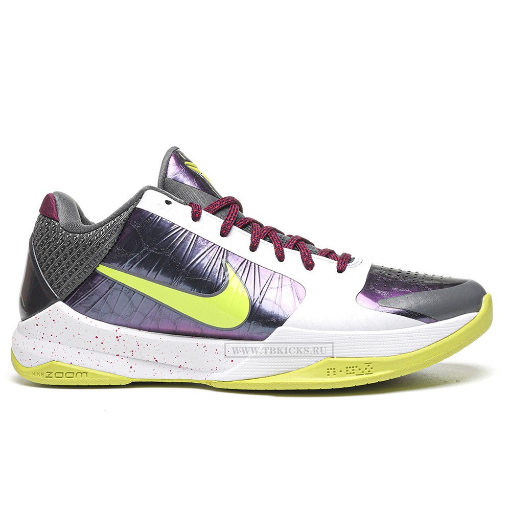TBkicks Nike Kobe 5 Protro Chaos